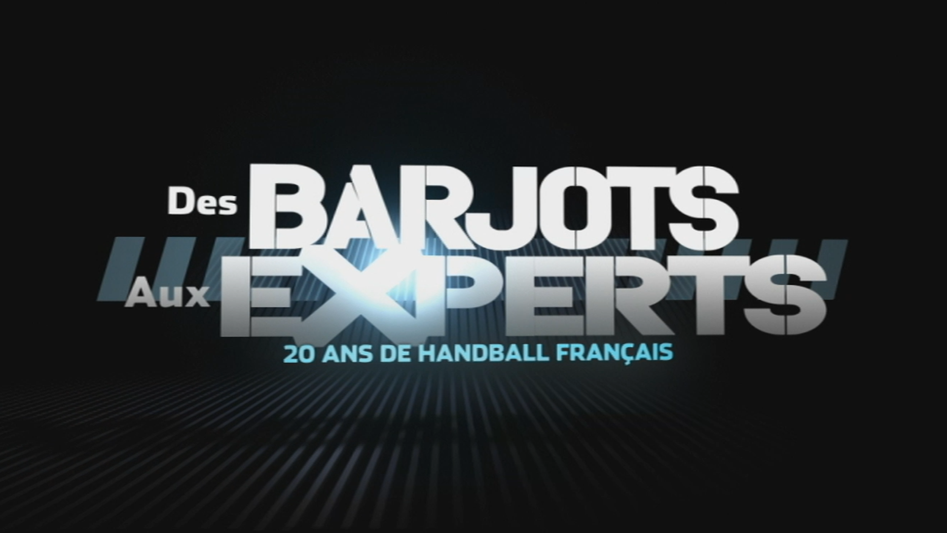 Des Barjots aux Experts, 20 ans de handball français